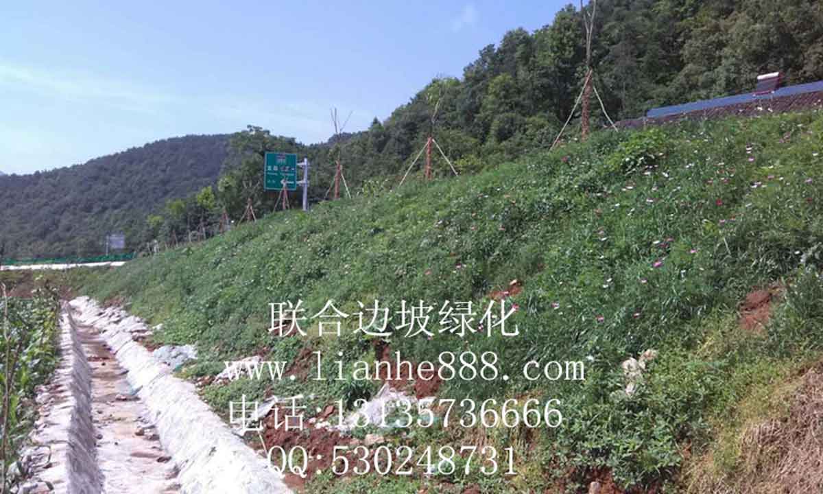 貴州、安順滬昆高鐵項目